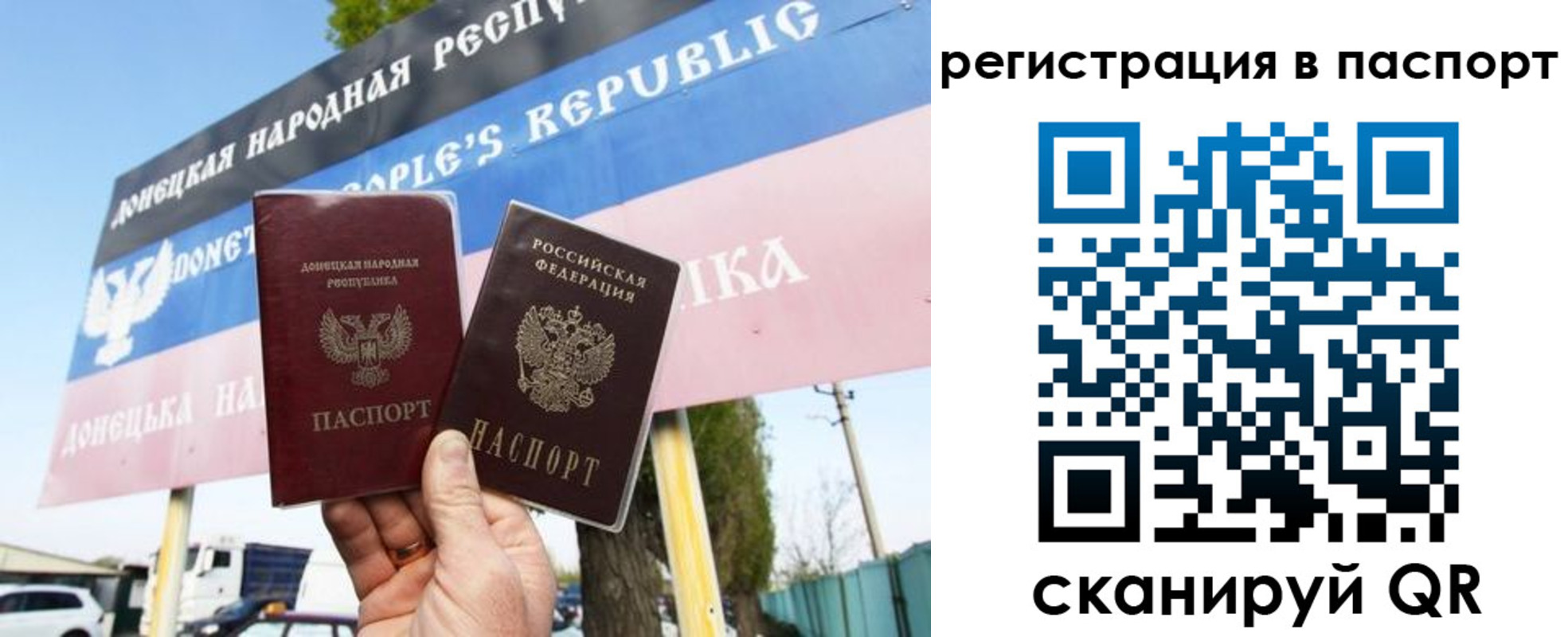 прописка поиск в Тынде